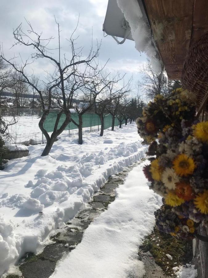 Casuta Sanatatii Hotel Covasna Exterior foto